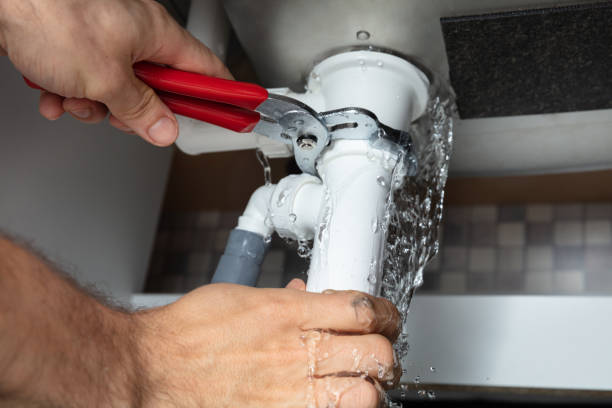 Best Mold removal after water damage  in Flora, IL