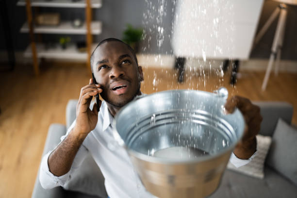 Best Flood restoration services  in Flora, IL