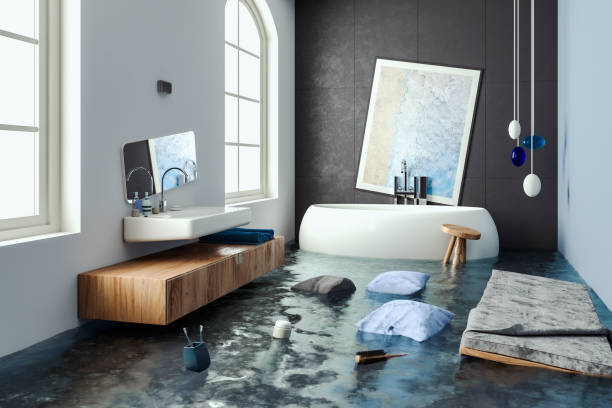 Best Local water damage restoration  in Flora, IL
