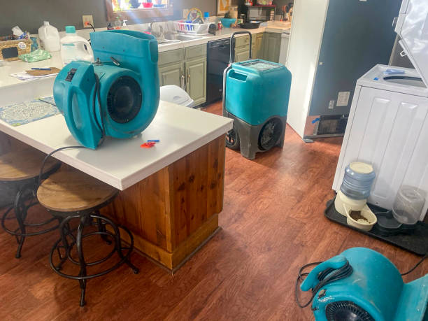Best Water damage contractors near me  in Flora, IL