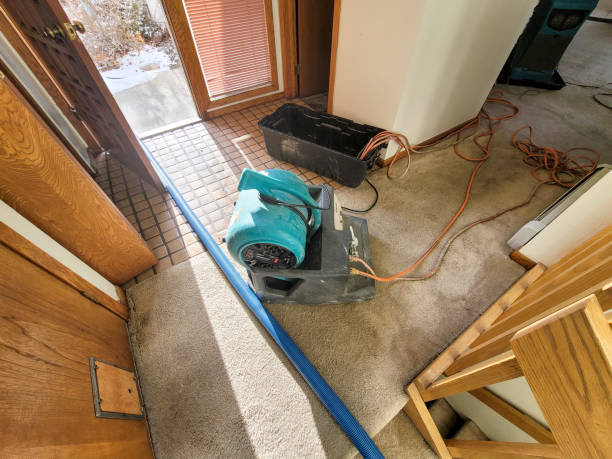 Best Flooded house restoration  in Flora, IL