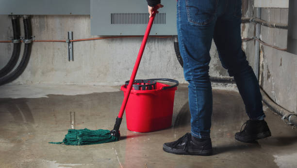 Best Carpet water damage restoration  in Flora, IL