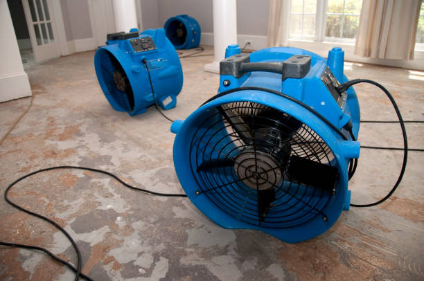 Best Local water damage restoration  in Flora, IL